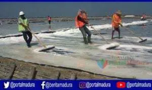 Harga Garam Rakyat di Sumenep Rendah Memasuki Musim Produksi 2019