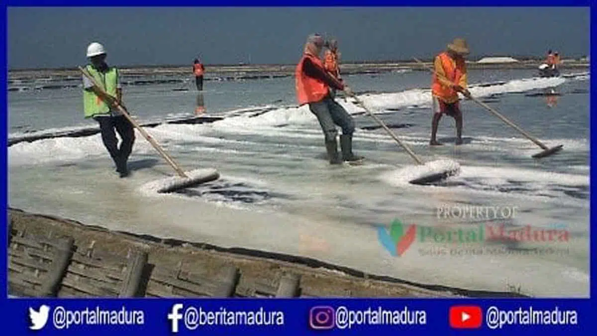 Harga Garam Rakyat di Sumenep Rendah Memasuki Musim Produksi 2019