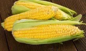 Ini Alasan Jangan Simpan Jagung di Kulkas