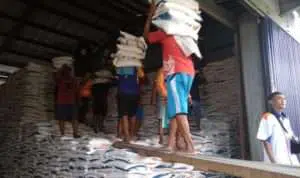 Bulog Klaim Stok Rastra Aman di Sumenep Hingga September 2019