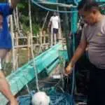 Pakai Trawl, Nelayan Lamongan Diamankan Polisi Madura