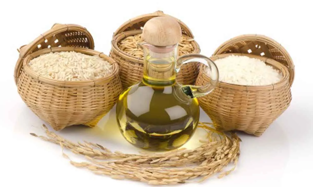 Ini 4 Khasiat Rice Bran Oil Bagi Kecantikan Alami