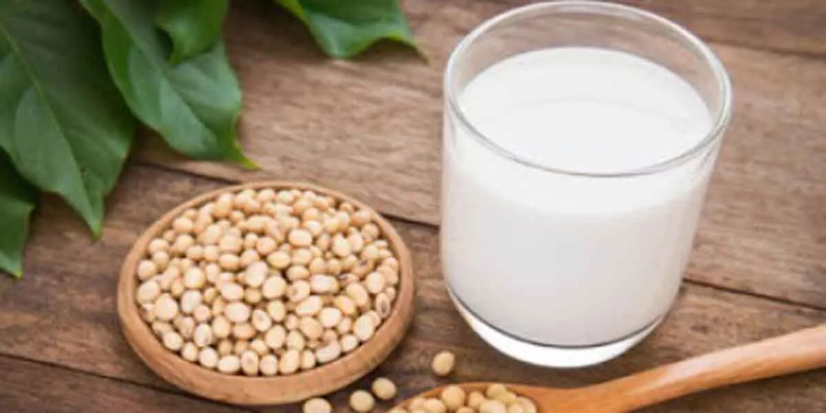 Tak Bisa Konsumsi Susu Sapi? Ini 4 Alternatif Penggantinya - Portalmadura.com Tak bisa Konsumsi Susu Sapi? Ini 4 Alternatif Penggantinya