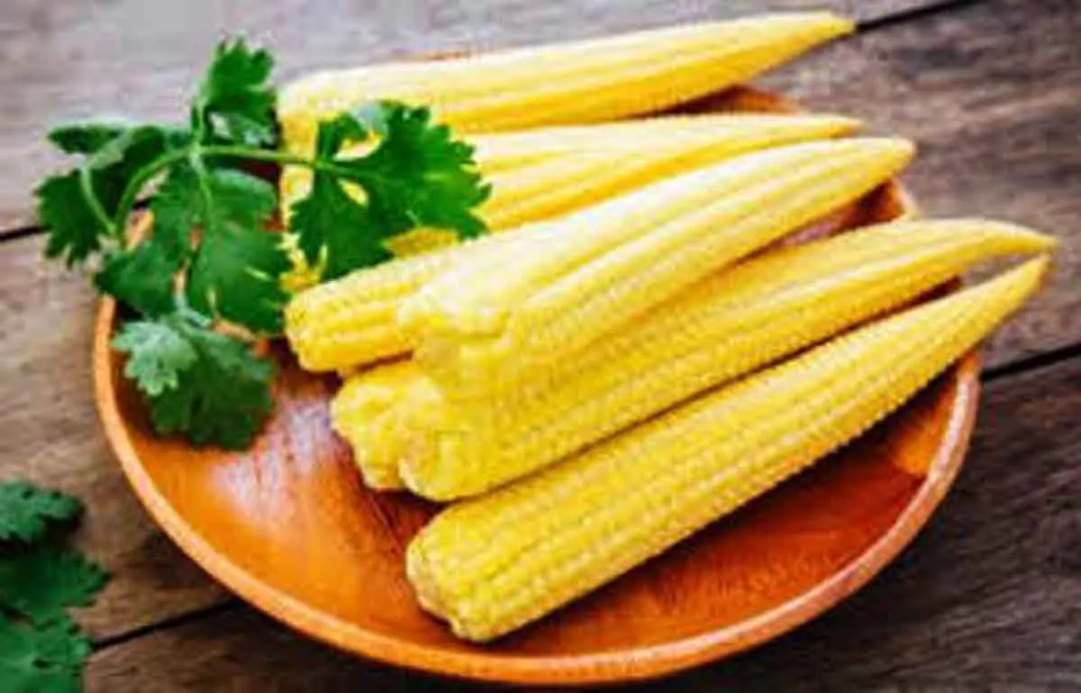 Menu Sahur : Baby Corn Tumis Dibumbui Lada Putih