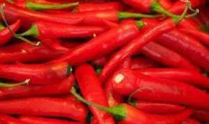 Jelang Lebaran, Harga Cabai Merah di Sampang Tembus Rp50 Ribu per Kg