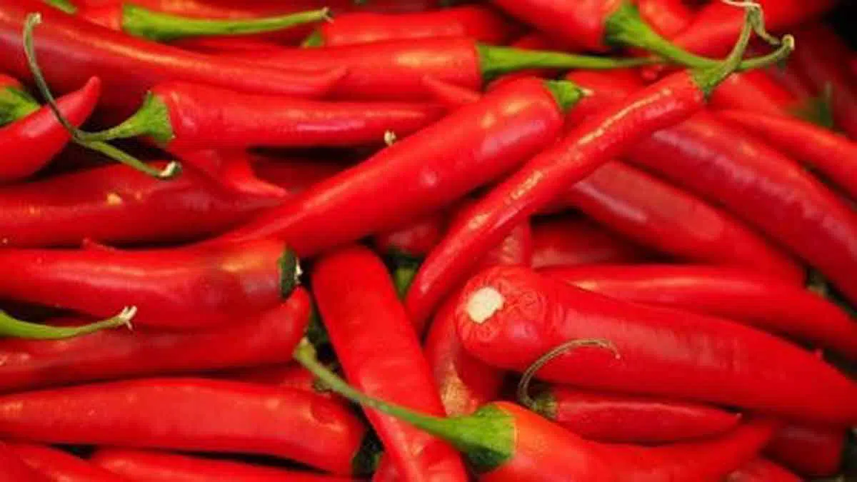 Jelang Lebaran, Harga Cabai Merah di Sampang Tembus Rp50 Ribu per Kg