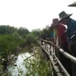 Ekowisata Mangrove Bangkalan Potensial Jadi Penggerak Ekonomi Warga
