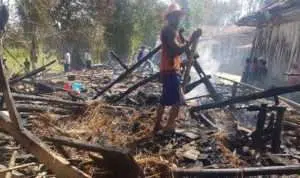 Kandang Ludes Dilalap Api, Dua Ekor Sapi Alami Luka Bakar
