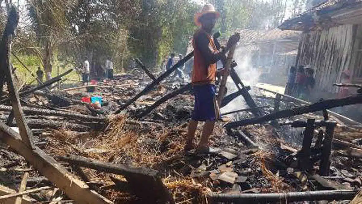 Kandang Ludes Dilalap Api, Dua Ekor Sapi Alami Luka Bakar