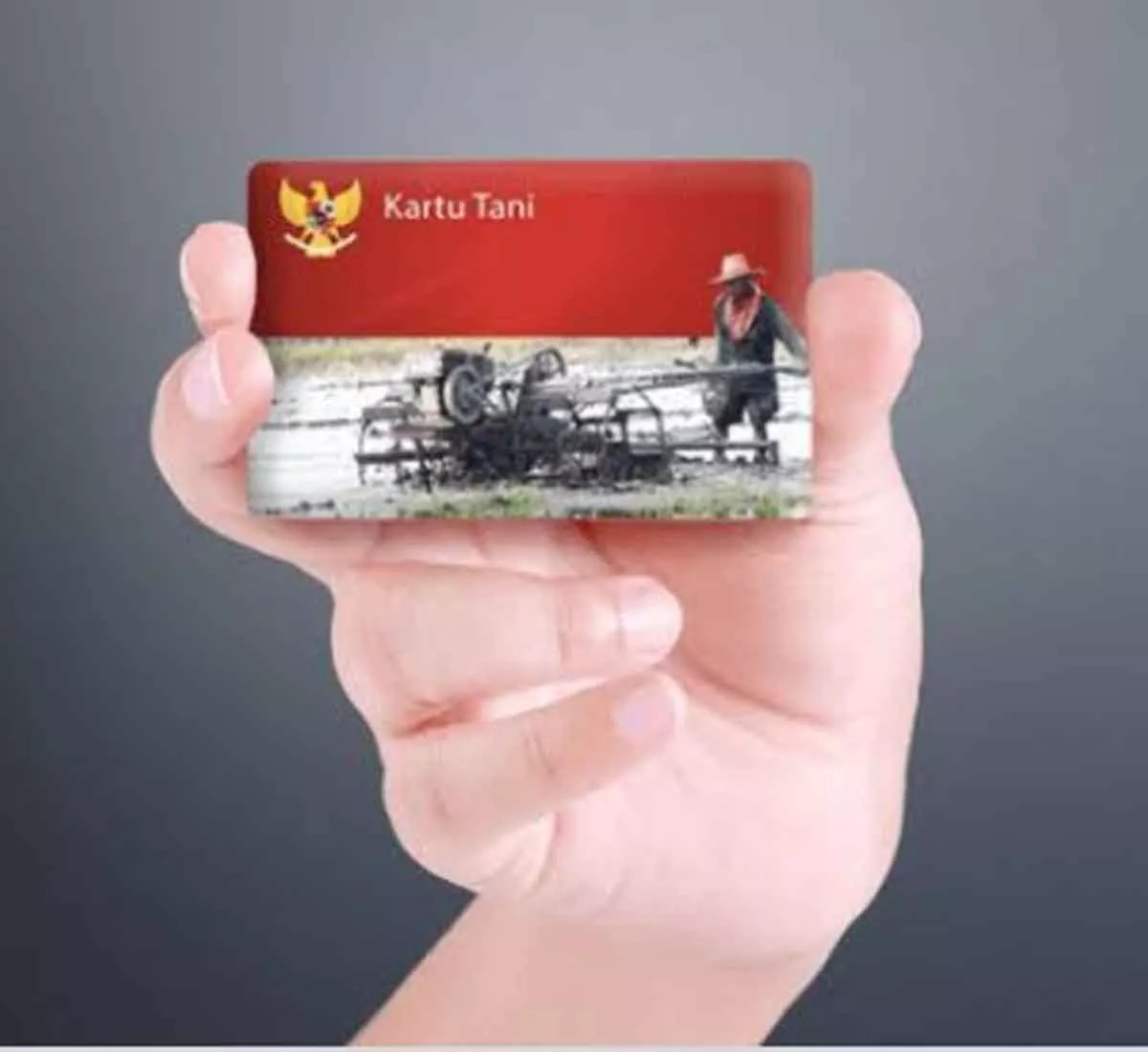 Ribuan Petani di Pamekasan Tak Punya Kartu Tani