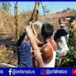 Kebakaran Lahan Bambu Nyaris Menjalar ke Rumah Warga