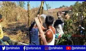 Kebakaran Lahan Bambu Nyaris Menjalar ke Rumah Warga