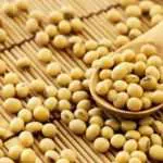 Manfaat Tak Terduga Masker Kedelai untuk Kulit