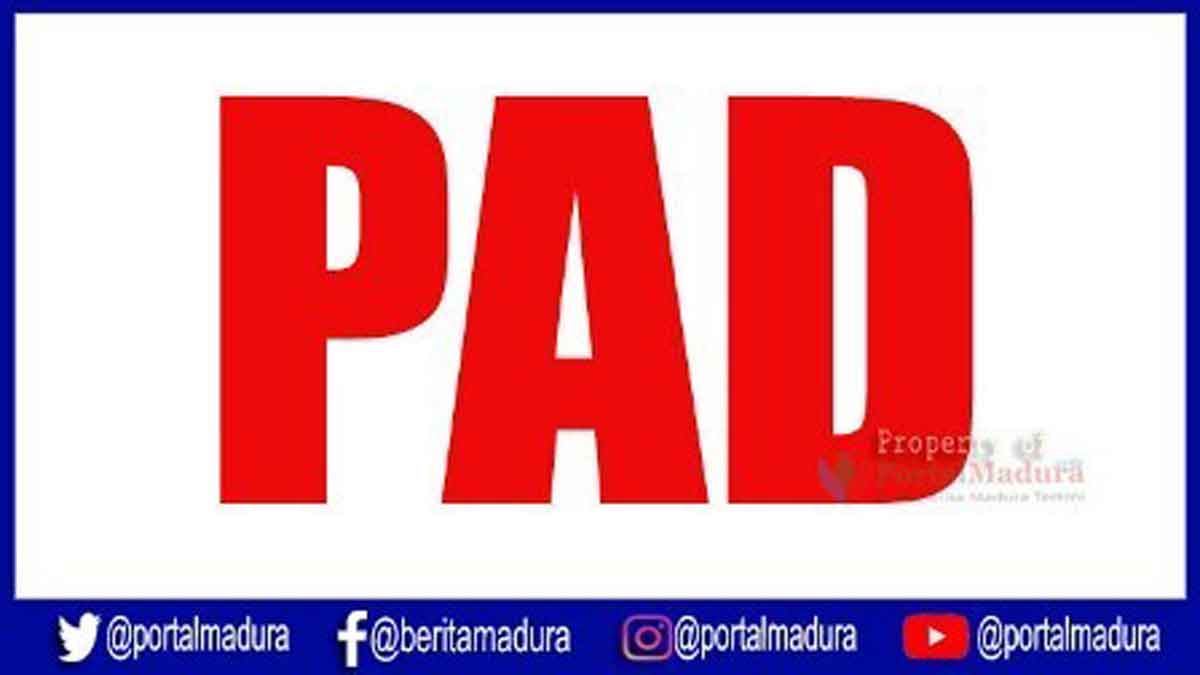 Dicurigai Bocor, PAD Tower Diskominfo Pamekasan Stagnan