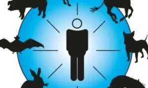 Jelang Idul Adha, Warga Pamekasan Diminta Waspada Penyakit Zoonosis