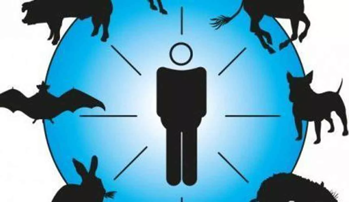 Jelang Idul Adha, Warga Pamekasan Diminta Waspada Penyakit Zoonosis