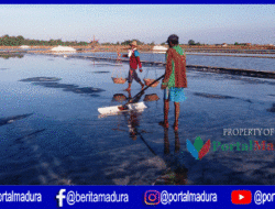 Fraksi PKB DPRD Pamekasan Sebut PT Garam Abai Kesejahteraan Petani