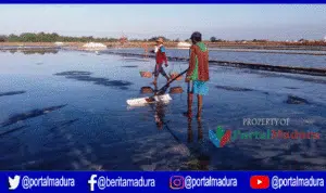 Fraksi PKB DPRD Pamekasan Sebut PT Garam Abai Kesejahteraan Petani