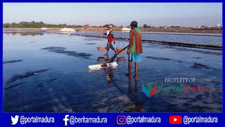 Fraksi PKB DPRD Pamekasan Sebut PT Garam Abai Kesejahteraan Petani