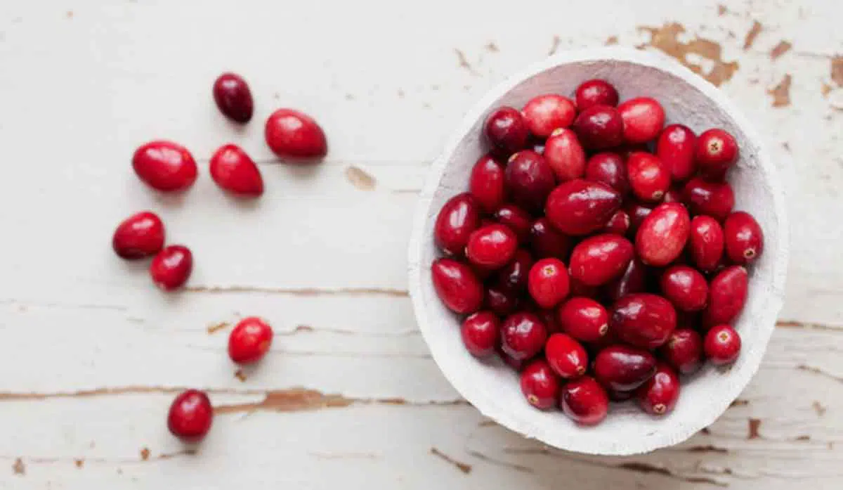 Manfaat untuk Kecantikan Kulit dari Kandungan Buah Cranberry