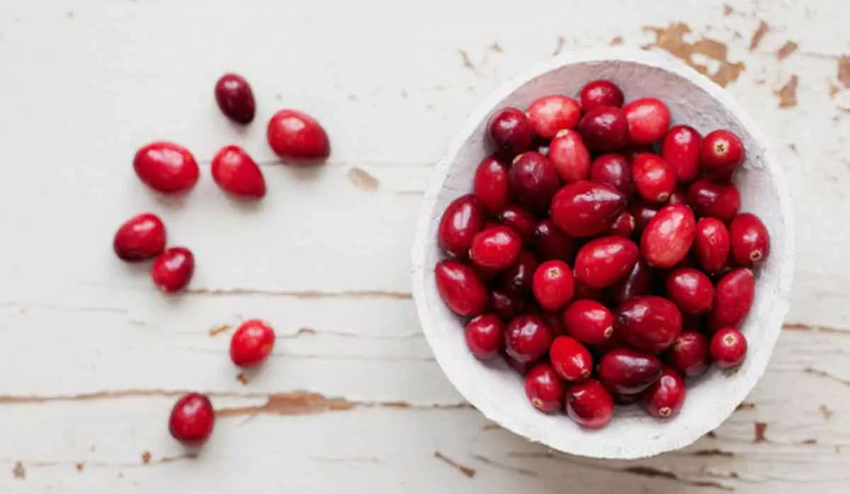 Manfaat untuk Kecantikan Kulit dari Kandungan Buah Cranberry