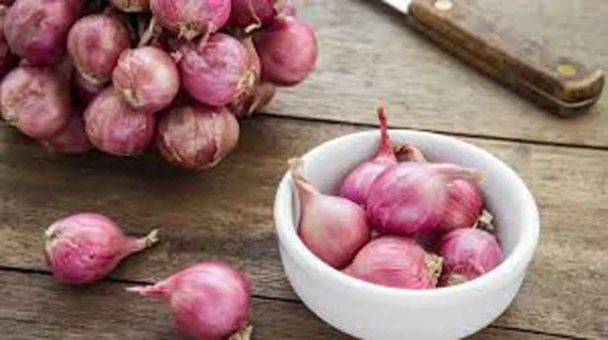 Masker Bawang Merah untuk Perawatan Kulit? Cek Disini