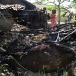 Kandang Terbakar, Sapi Ikut Terpanggang