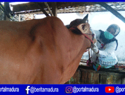 10 Penampungan Hewan Kurban Jadi Pantauan Dinas Peternakan