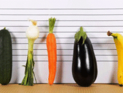 4 Bentuk Penis Punya Pria, Lebih Nyaman yang Mana?