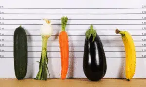 4 Bentuk Penis Punya Pria, Lebih Nyaman yang Mana?
