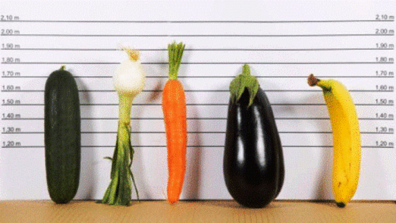 4 Bentuk Penis Punya Pria, Lebih Nyaman yang Mana?