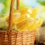 4 Manfaat Sehat Konsumsi Jagung
