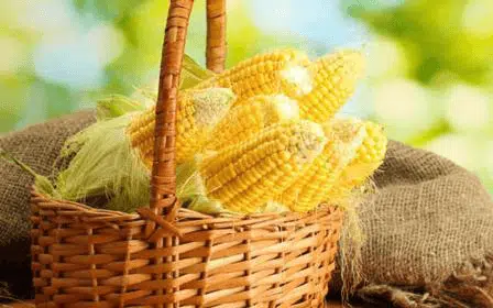 4 Manfaat Sehat Konsumsi Jagung