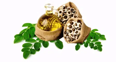 5 Khasiat Tersembunyi Moringa Oil untuk Perawatan Kecantikan