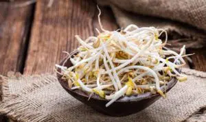 6 Manfaat Konsumsi Kecambah Bagi Kesehatan Anda