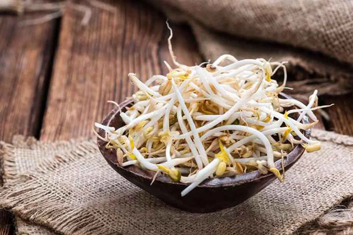6 Manfaat Konsumsi Kecambah Bagi Kesehatan Anda