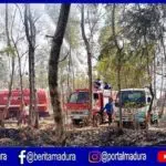 Kebakaran Lahan Gambut Nyaris Menjalar ke Rumah Warga
