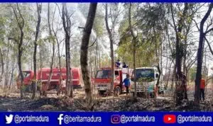 Kebakaran Lahan Gambut Nyaris Menjalar ke Rumah Warga