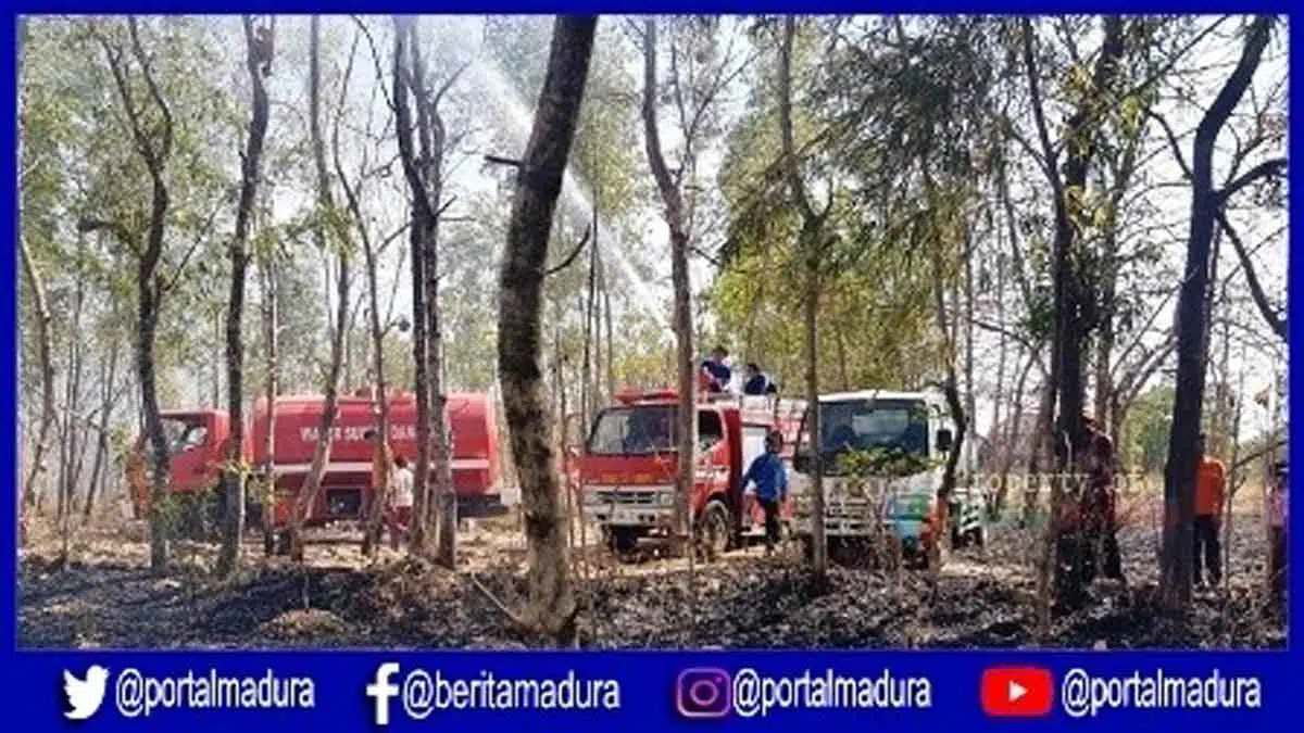 Kebakaran Lahan Gambut Nyaris Menjalar ke Rumah Warga