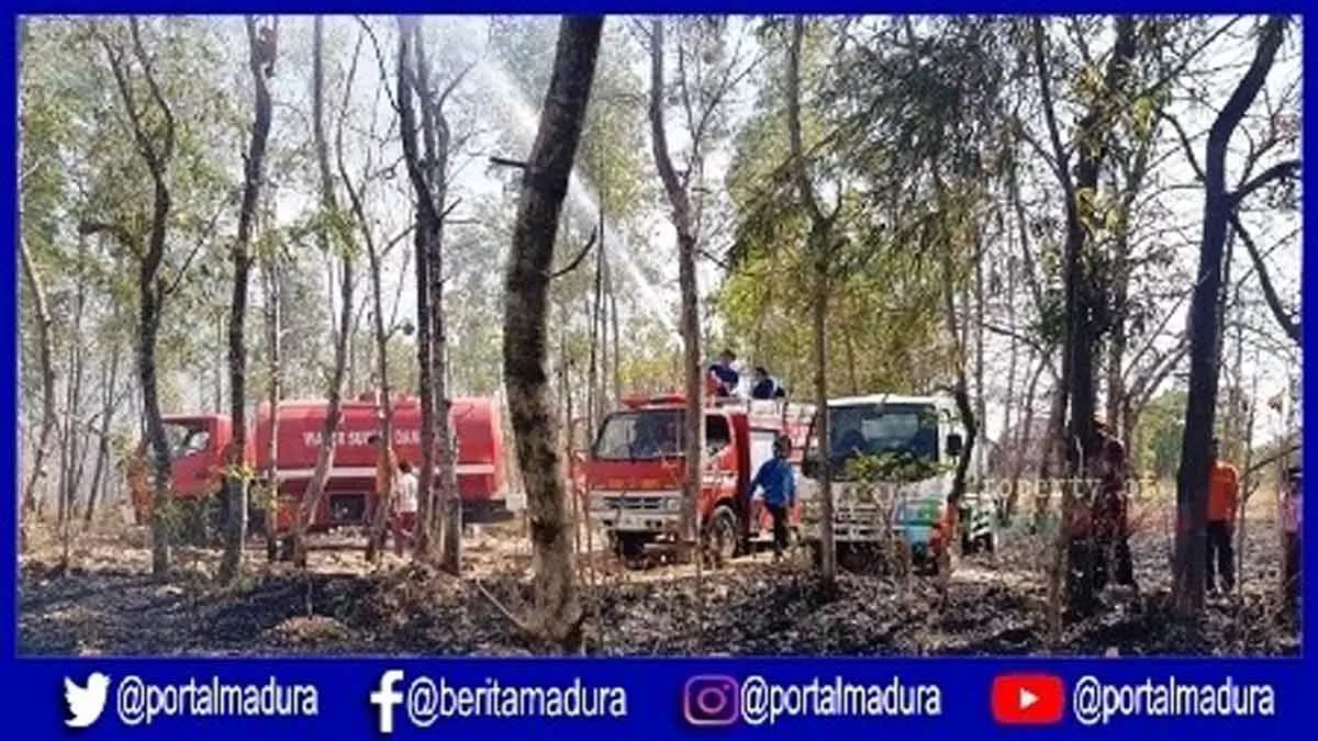 Kebakaran Lahan Gambut Nyaris Menjalar ke Rumah Warga