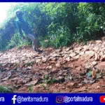 Warga Desa Lesong Laok Pamekasan Keluhkan Jalan Rusak