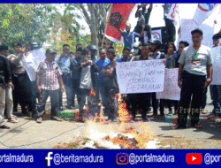 Kecewa Bupati, Petani di Pamekasan Bakar Tembakau Rajangan