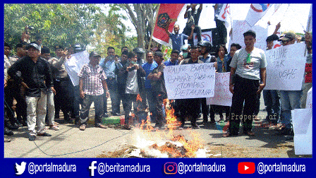 Kecewa Bupati, Petani di Pamekasan Bakar Tembakau Rajangan