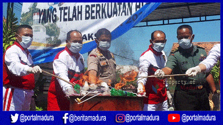 Darurat Narkoba, Kejari Sampang Musnahkan Barang Bukti Sabu