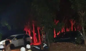 Densus 88 Tangkap 2 Teroris di Sampang, Dinkes Cek Data Terduga Disebut Dokter