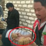 14 Butir Mirip Bom di Madura, Usai Diteliti oleh TNI dan Polisi Ternyata Berisi Ini