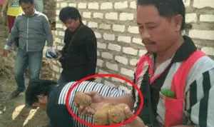 14 Butir Mirip Bom di Madura, Usai Diteliti oleh TNI dan Polisi Ternyata Berisi Ini