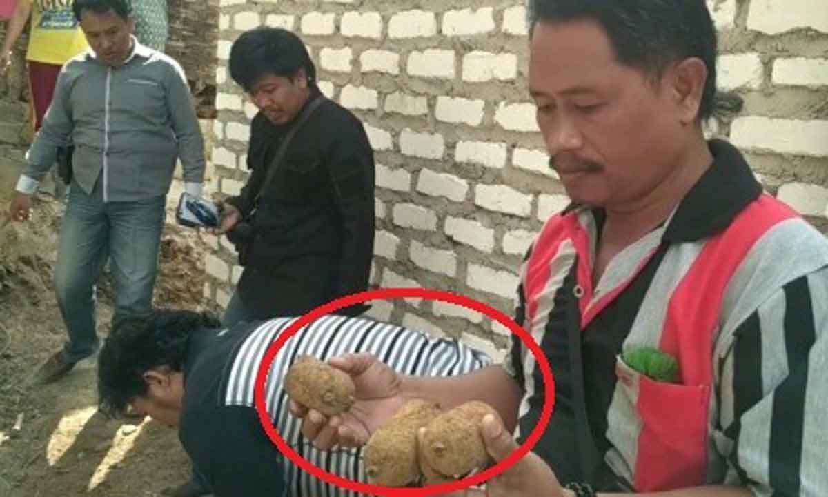 14 Butir Mirip Bom di Madura, Usai Diteliti oleh TNI dan Polisi Ternyata Berisi Ini