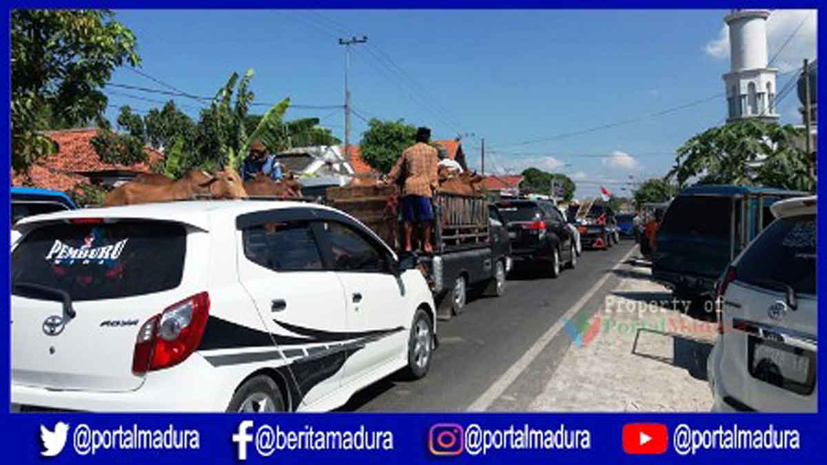 Jelang Idul Adha, Kemacetan Landa Pamekasan Akibat Pasar Hewan Tumpah