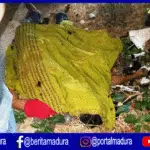 Diduga Ngantuk, Pemotor Tewas Hantam Pohon